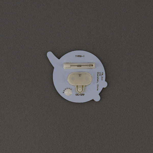 LED Light Up NASA Lapel Pin