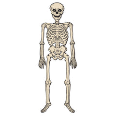 56" Tall Vintage Jointed Skeleton