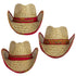 files/Bandana-Rolled_Cowboy_Hat.jpg
