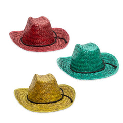 Colorful Straw Cowboy Hats - Pack of 12