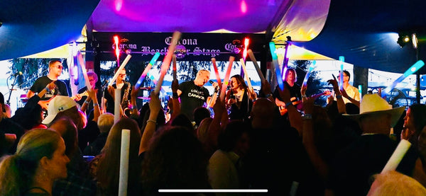 Light Up LED Foam Stick Batons