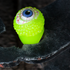 files/LED_Flashing_Yellow_Eyeball_Ring.png