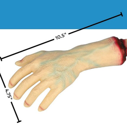 Severed Hand