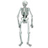 Skeleton Jointed Cutout