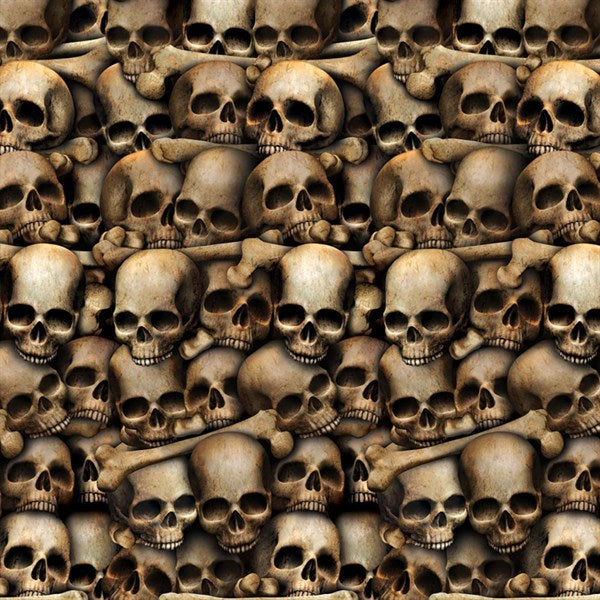 Catacombs Room Roll - 4' High x 30' Long