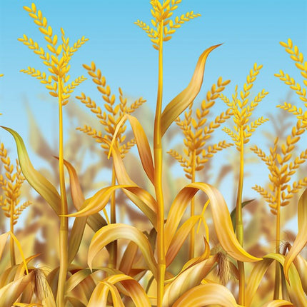 Cornstalks Room Roll