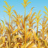 files/cornstalks-room-roll-1.jpg