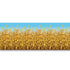 files/cornstalks-room-roll-2.jpg
