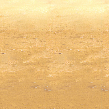 Desert Sand Room Roll
