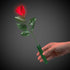 files/led-light-up-red-roses.jpg