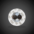files/led-white-bottle-illuminators-4.gif