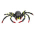 files/spider-web-with-spider-2.jpg