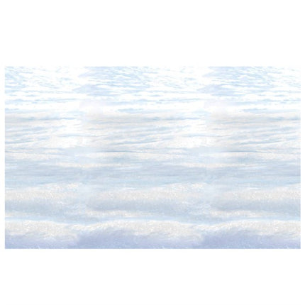 Winter Sky 30' Backdrop
