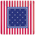 Patriotic Theme Stars & Stripes 7" Plates | PartyGlowz