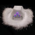 products/White_Cowboy_Hat_With_LED_Light_Up_Tiara.jpg