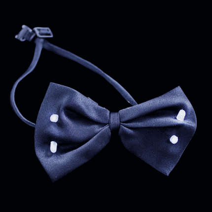 LED Flashing Black Bow Tie