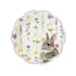Bunny Party Dessert Plates