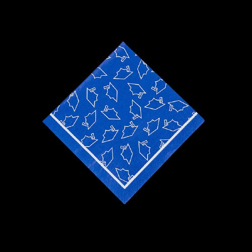 Blue Graduation Beverage Napkins