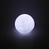 5 Inch x 6 Inch LED Earth Light with Stand