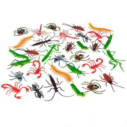 Assorted Insects