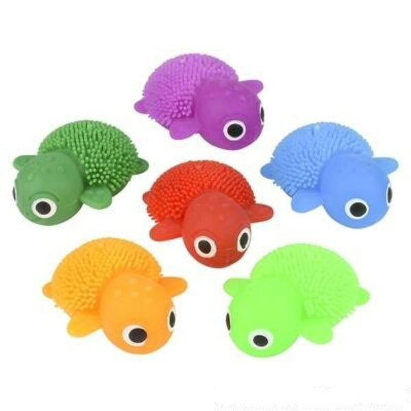 1.75 Mini Puffer Turtles