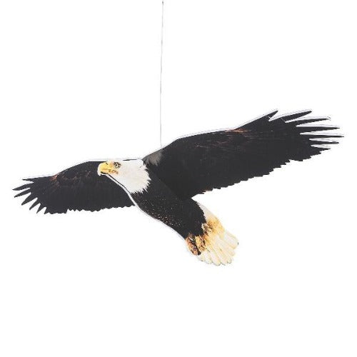 Hanging Foam Eagle