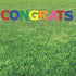 Multi-Color Congrats Yard Signs