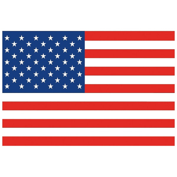 American Flag Backdrop
