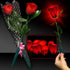 LED Light Up Red Roses - 12 Per Pack