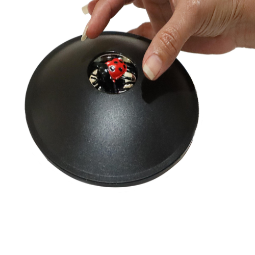 3D 6 Ladybug Mirascope Illusion Maker