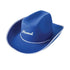 Blue Felt Cowboy / Cowgirl Hat