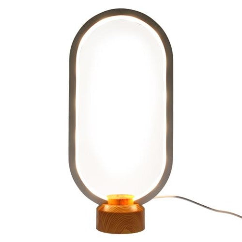 LED Modern Style Oval Light