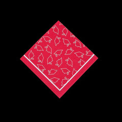 Red Graduation Beverage Napkins