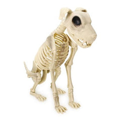 Halloween Skeleton Dog Statue 14"