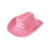 Pink Felt Cowboy / Cowgirl Hat